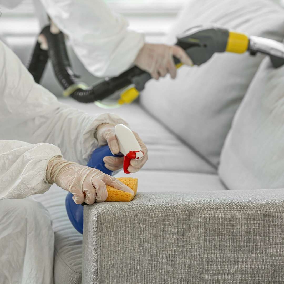 workers removing dirt from sofa in house