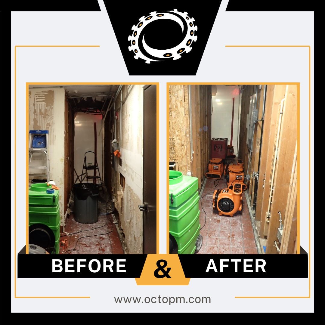 Hallway - Before and After